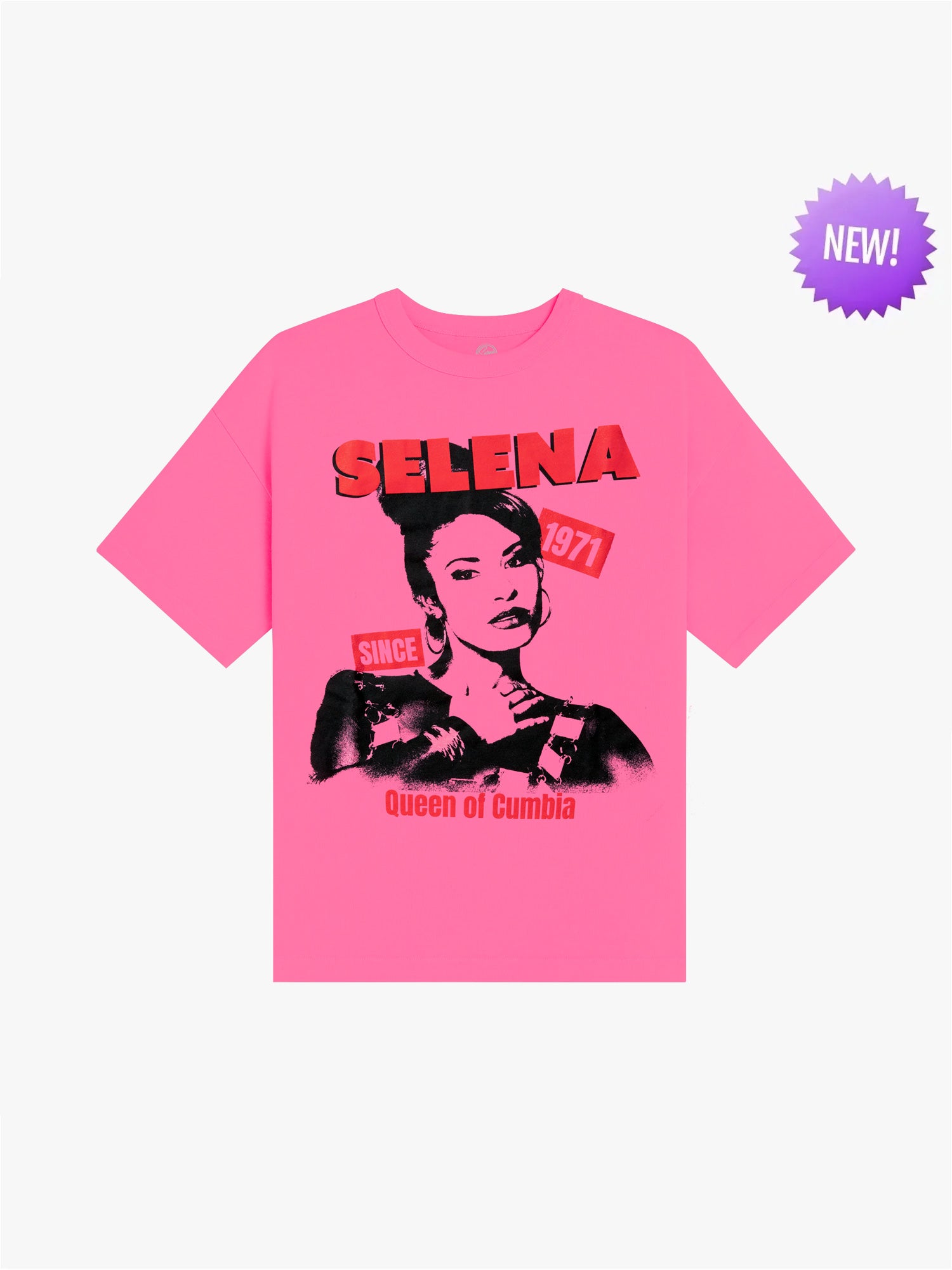 Since 1971 Tee